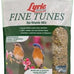 Lyric Fine Tunes Wild Bird Seed Mix for Outside Feeders - 5 lb Bag - Attracts Bluebirds, Finches, Chickadees & More