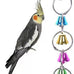 7 inch acrylic bird mirror with rope perch for grey parrots, amazons, parakeets and cockatiels