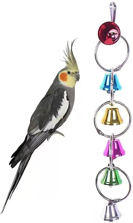 7 inch acrylic bird mirror with rope perch for grey parrots, amazons, parakeets and cockatiels