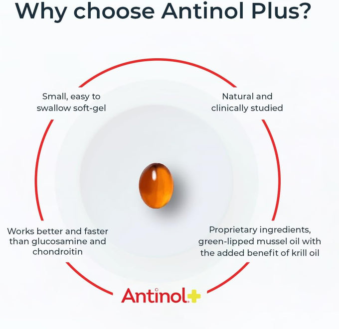 Antinol Plus Dog Joint Supplement with Green-Lipped Mussels and Krill Oil for Mobility and Health