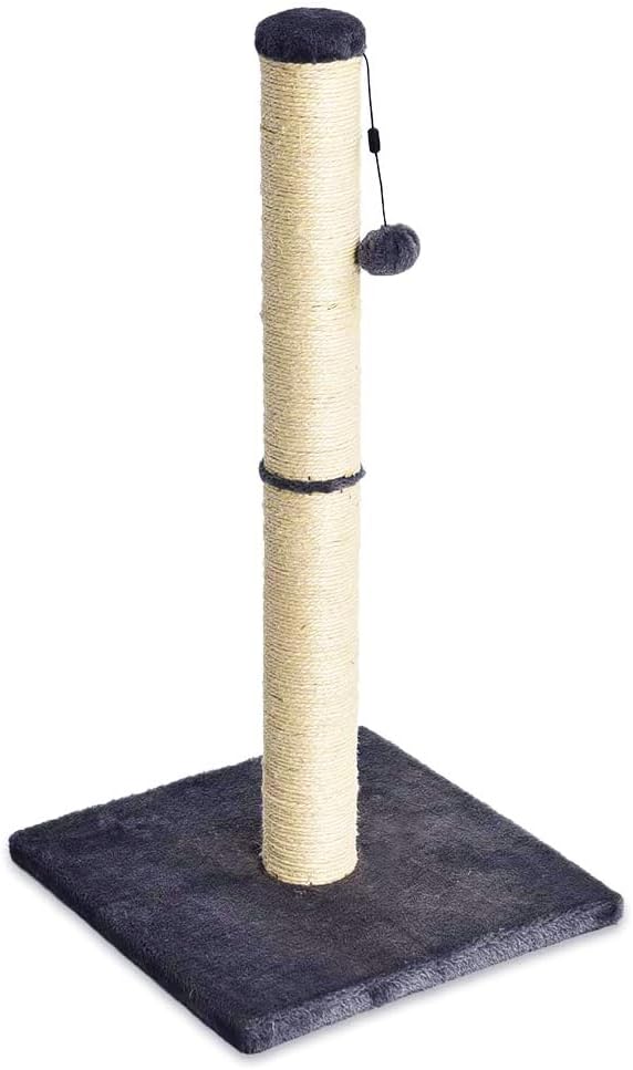 Amazon basics grey cat scratching post for indoor cats and kittens with dangling ball toy medium height