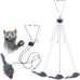 Kalimdor Retractable Interactive Cat Toys, Teaser Toy for Indoor Cats Kitten Play Chase Exercise (2 Pack)