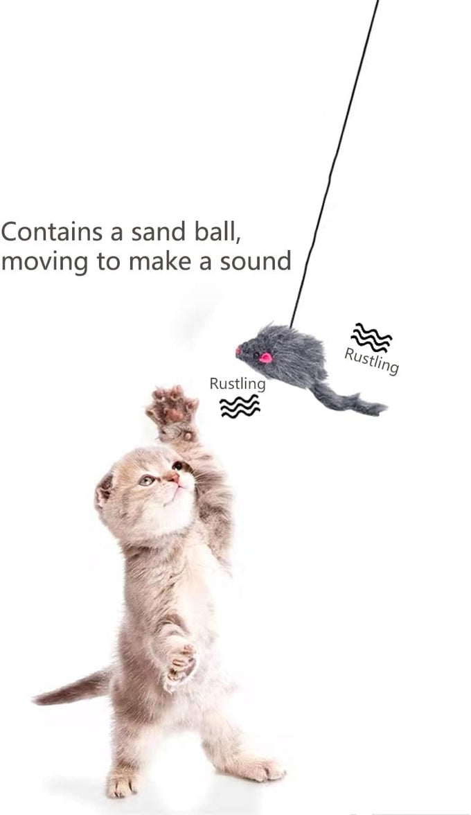 Kalimdor Retractable Interactive Cat Toys, Teaser Toy for Indoor Cats Kitten Play Chase Exercise (2 Pack)