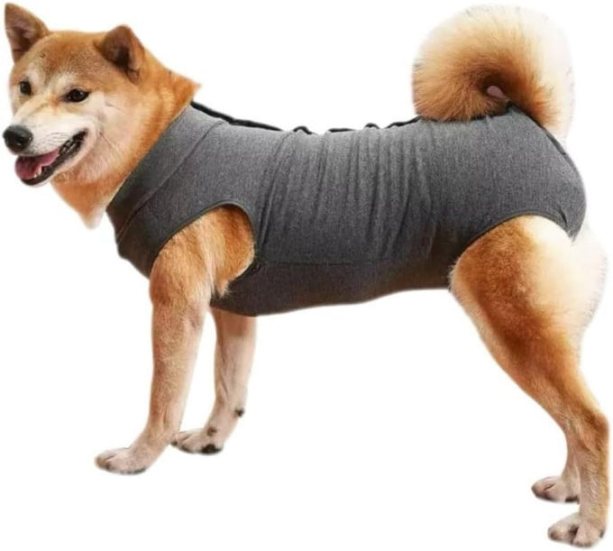 dog recovery suit medium soft cotton e-collar alternative abdominal wound healing small large breeds