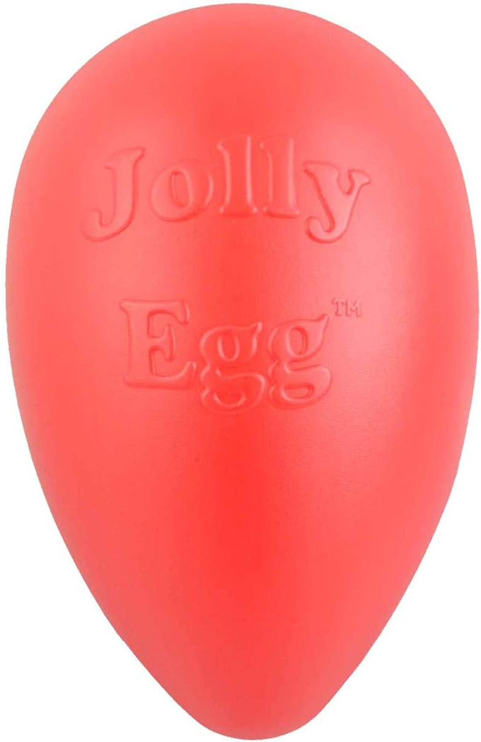 Jolly Pets large purple dog toy, 12 inches, USA made, floats, durable