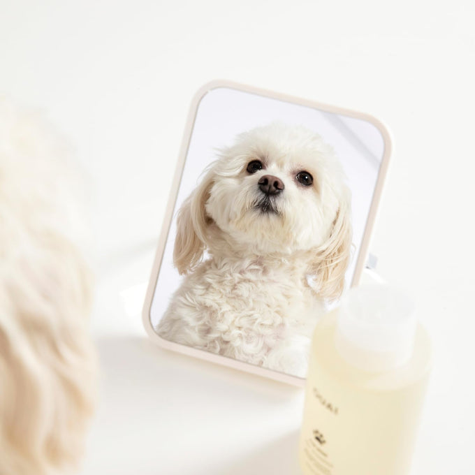 ouai fur bébé gentle cat and dog shampoo, 16 fl oz, vegan, cruelty-free, mercer street scent