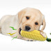 carllg dog chew toys for aggressive chewers, durable squeaky interactive dog toys corn stick toy for small medium large breeds