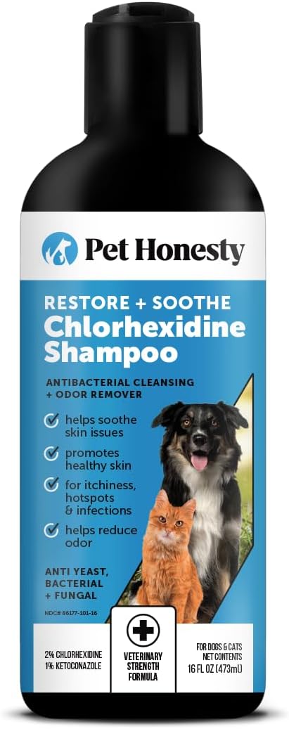 pet honesty chlorhexidine cat & dog shampoos with chlorhexidine for seasonal itch relief allergies & skin problems 16oz