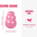 Kong puppy toy natural teething rubber for medium puppies fun to chew and fetch pink