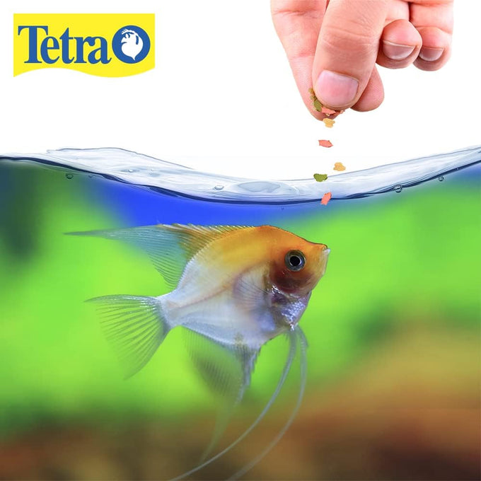 Tetra TetraColor Tropical Flakes 1-Ounce 185 ml Fish Food Enhanced with Vitamin C and ProCare