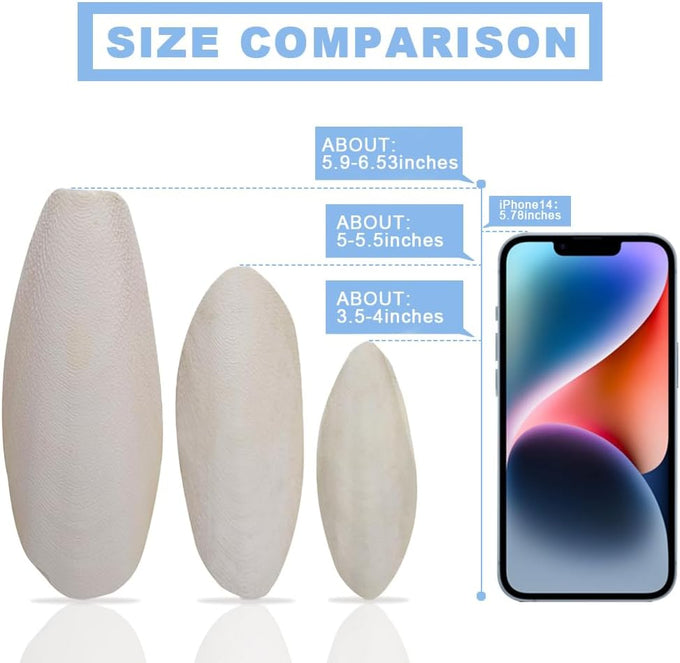 jmxu 3.5-4 cuttlebone for parakeets birds calcium supplement natural chew toys