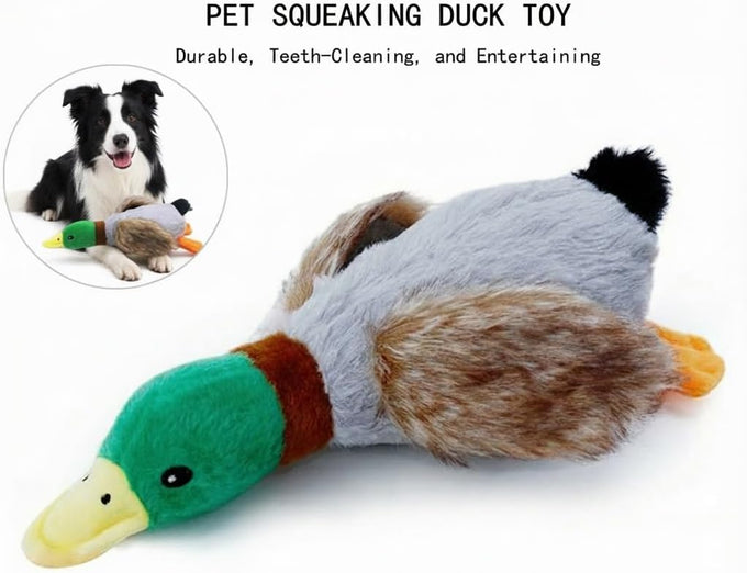 Paw-PERFECT Mallard Duck Squeaky Plush Toy for Small/Medium Size Dogs, Soft Durable Material, Crinkle Wings