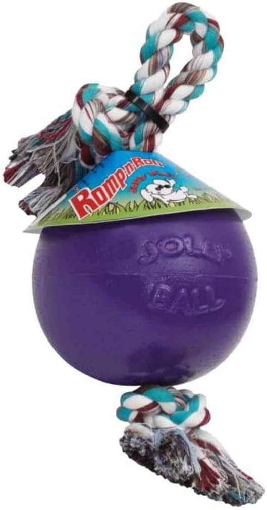 Jolly Pets 8-Inch Large Orange Romp-n-Roll Dog Toy for Large Dogs Made in the USA