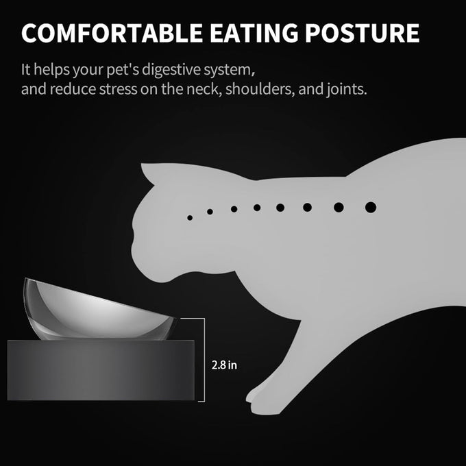 petkit 304 stainless steel elevated cat and dog bowls, non-slip, anti-vomiting, 15° tilted, dishwasher-safe