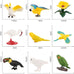 10-piece plastic parrot model toys, flamingo bird figurine collectibles, kid-friendly educational playset