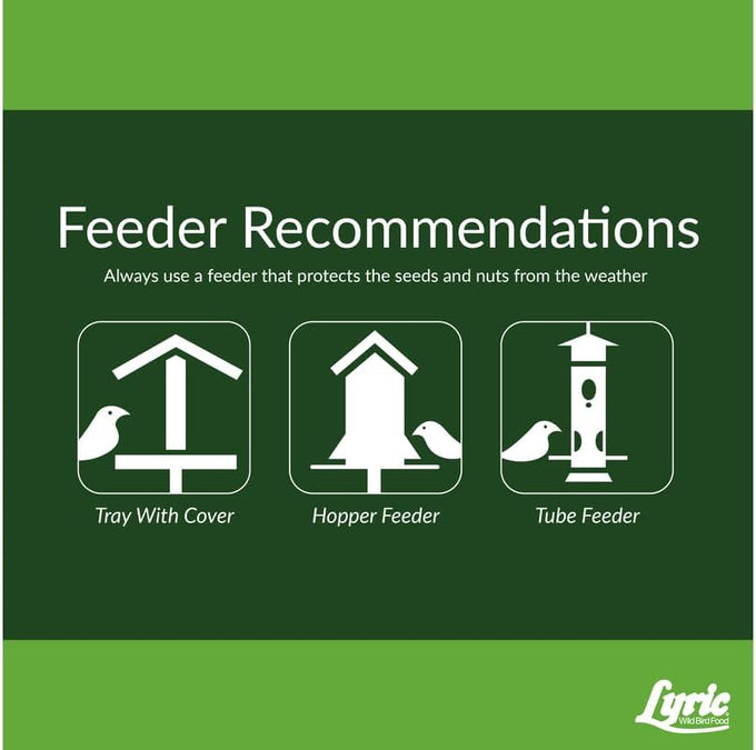 Lyric Fine Tunes Wild Bird Seed Mix for Outside Feeders - 5 lb Bag - Attracts Bluebirds, Finches, Chickadees & More