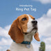 Ring Easy-to-use Pet Tag with QR Code for Real-time Scan Alerts, Shareable Pet Profile, No Subscription or Fees