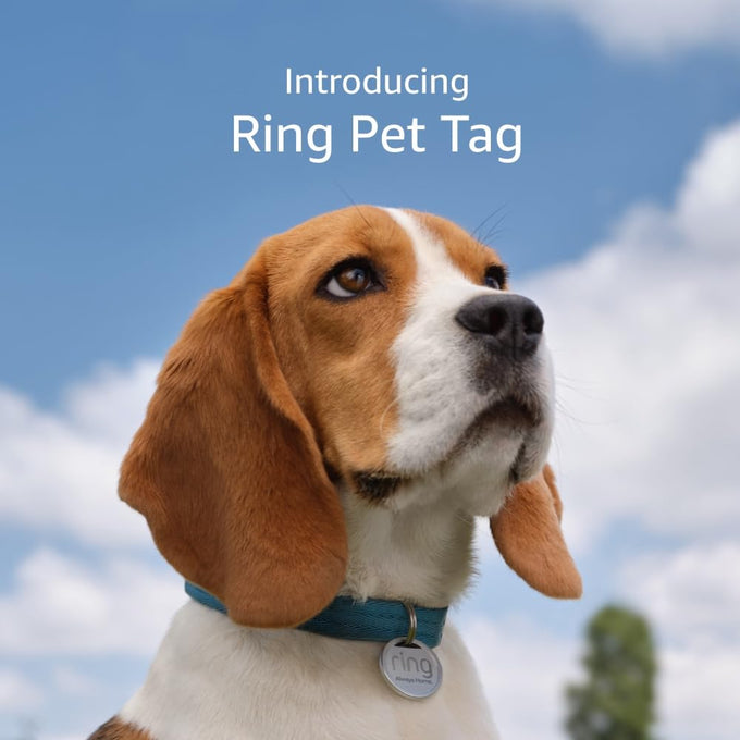 Ring Easy-to-use Pet Tag with QR Code for Real-time Scan Alerts, Shareable Pet Profile, No Subscription or Fees