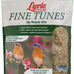 Lyric Fine Tunes Wild Bird Seed Mix for Outside Feeders - 5 lb Bag - Attracts Bluebirds, Finches, Chickadees & More