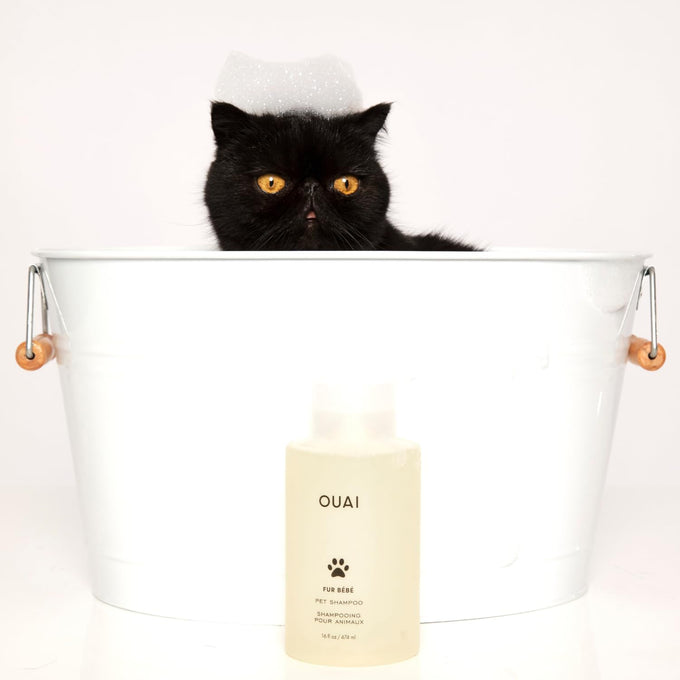 ouai fur bébé gentle cat and dog shampoo, 16 fl oz, vegan, cruelty-free, mercer street scent