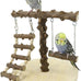 Natural Wood Bird Perch Stand for Small to Medium Size Parrots, Portable Training Perch