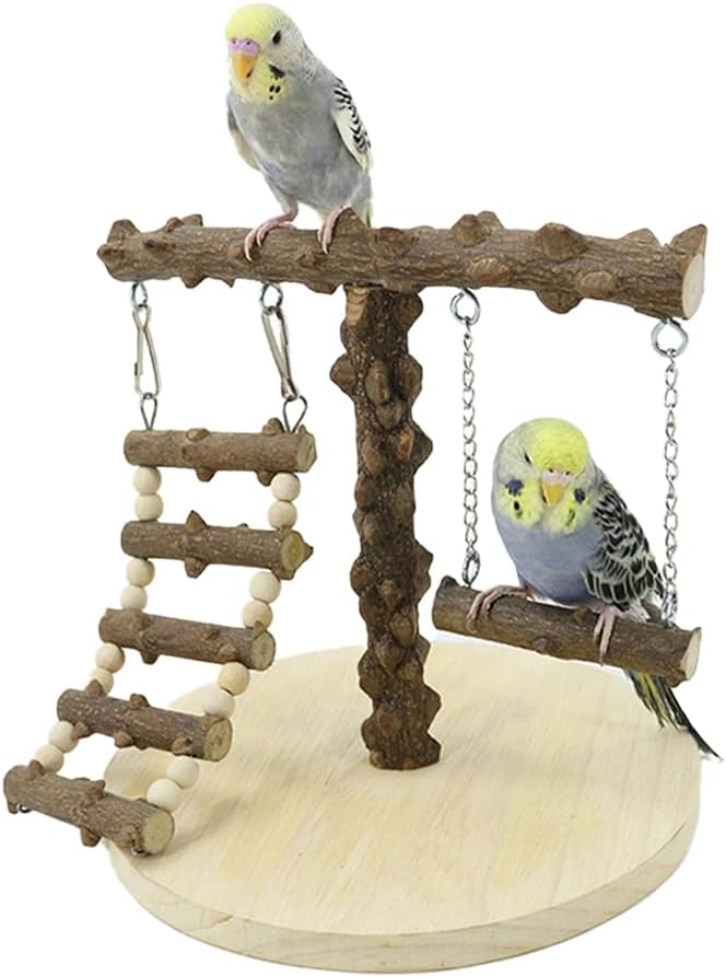 Natural Wood Bird Perch Stand for Small to Medium Size Parrots, Portable Training Perch