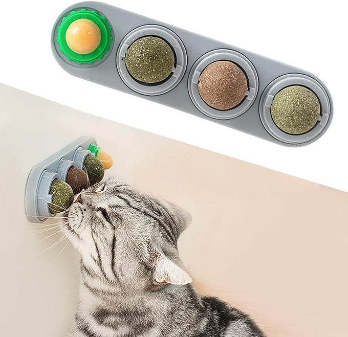 Potaroma 4 Catnip Silvervine Ball Toys: Natural, Non-Toxic, Edible, Teeth Cleaning, Dental Wall Treats for All Breeds, Extra Cat Energy Ball