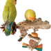 Parrot wooden toys with natural corn sticks and pine cones, fun bird cage accessories for parakeets and similar birds