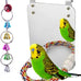 7 inch acrylic bird mirror with rope perch for grey parrots, amazons, parakeets and cockatiels
