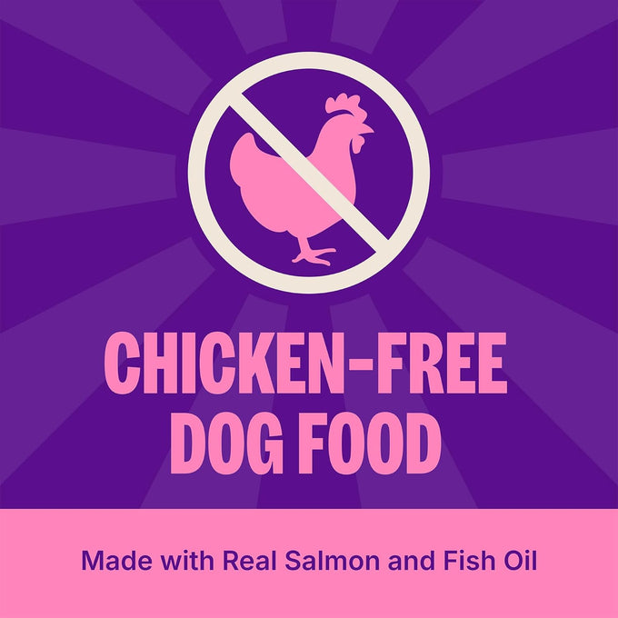 Wellness Wholesome Grain Sensitive Skin and Stomach Dry Dog Food, Salmon and Rice Recipe, 5 lb Bag, Chicken Free