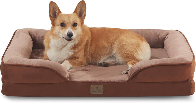 Bedfolks Orthopedic Dog Sofa Bed for Small Dogs, Waterproof Egg Foam Couch with Removable Washable Cover, Light Grey, 24"x18"x6"