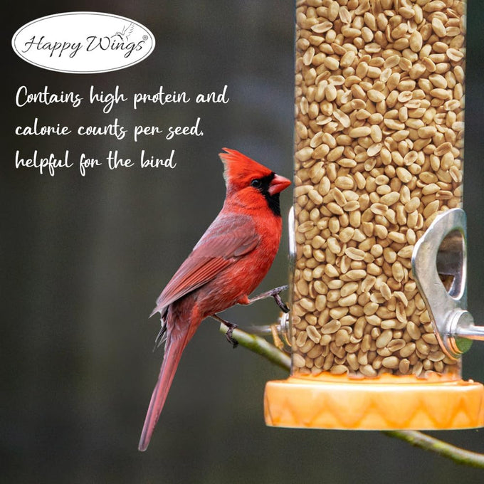 Happy Wings shelled peanuts seeds wild bird food, 5 pounds, no grow seed, bird seed for year-round feeding
