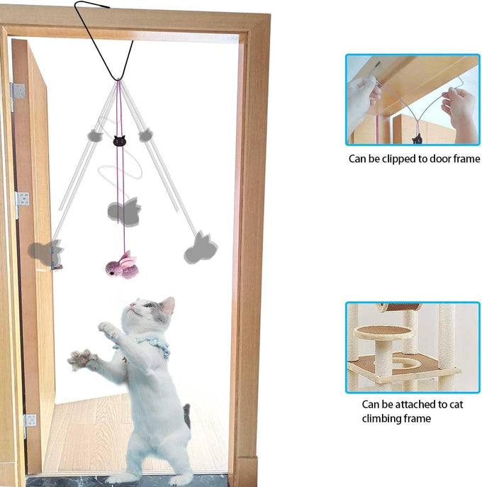zph cat toys interactive indoor 2pcs retractable cat wand 9pcs teaser toys kitten toy