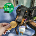 Three Dog Bakery Bark'N Crunch! Chicken Chips 4 oz Grain Free High Protein Treats for Dogs
