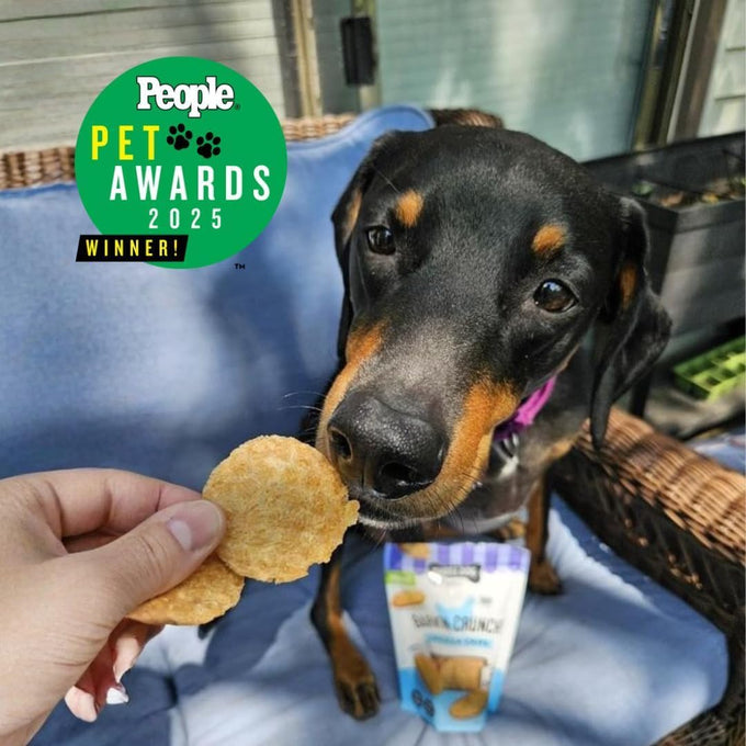 Three Dog Bakery Bark'N Crunch! Chicken Chips 4 oz Grain Free High Protein Treats for Dogs