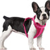Wisedog No Pull Lightweight Adjustable Pet Vest Harness for Small Medium Large Dogs, Soft Cushion, Pine Green, Size S