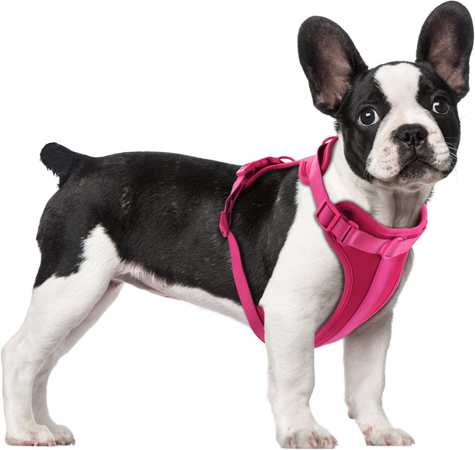 Wisedog No Pull Lightweight Adjustable Pet Vest Harness for Small Medium Large Dogs, Soft Cushion, Pine Green, Size S