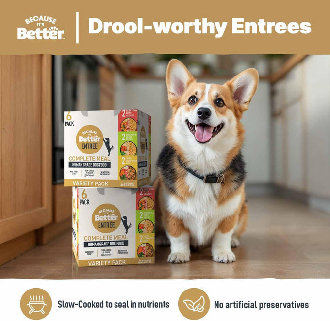 Because It's Better Entrée Variety Pack, 10oz Wet Dog Food