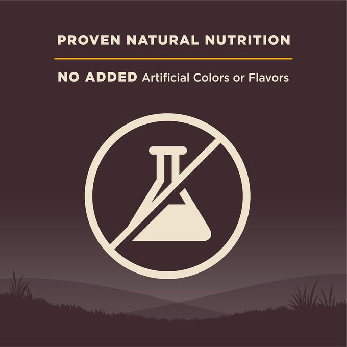 Wellness CORE Puppy Dry Dog Food, Grain Free Kibble, Natural, High Protein, Chicken and Turkey Recipe, 4 lb Bag