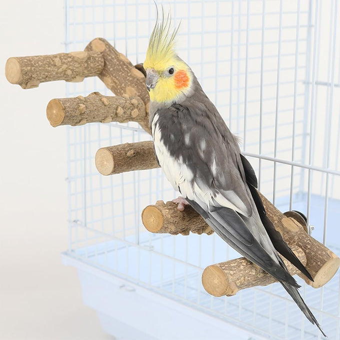 Natural Wooden Bird Ladder for Small Animal Exercise and Chewing Toy, 12.2 inches, Easy Installation