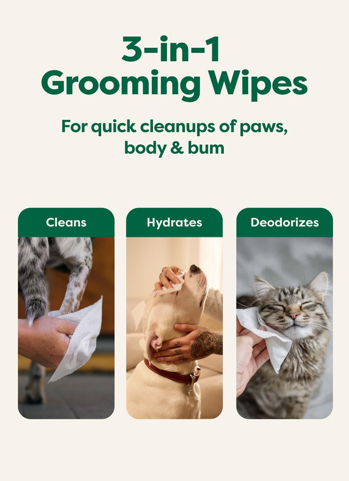 Earth Rated pet wipes for dogs and cats, 3-in-1 cleaning, hypoallergenic, 100 count, white tea and basil scent