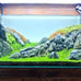 Seiryu natural stones 5lb 2-6 inch for aquariums, fish tanks, bonsai, terrariums and indoor gardens