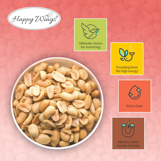 Happy Wings shelled peanuts seeds wild bird food, 5 pounds, no grow seed, bird seed for year-round feeding