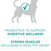 purina one plus digestive health formula 31.1 lb dry dog food natural with added vitamins