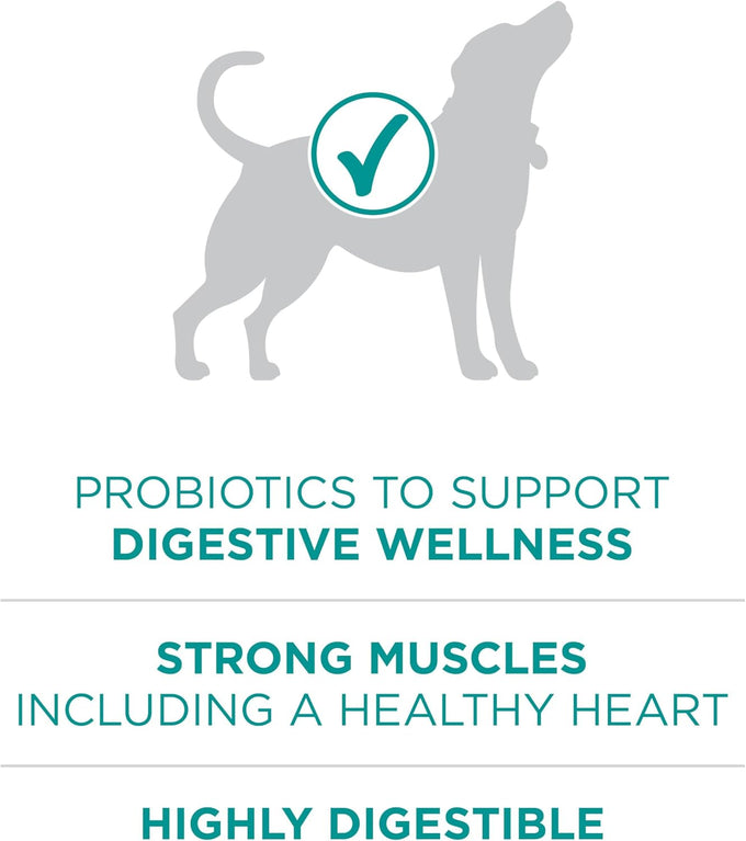 purina one plus digestive health formula 31.1 lb dry dog food natural with added vitamins