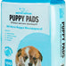 Baby Blue XL Puppy Pads 100 Count - Super Absorbent, Quick-Dry, Odor Control, and Leak-Proof for Indoor Dogs