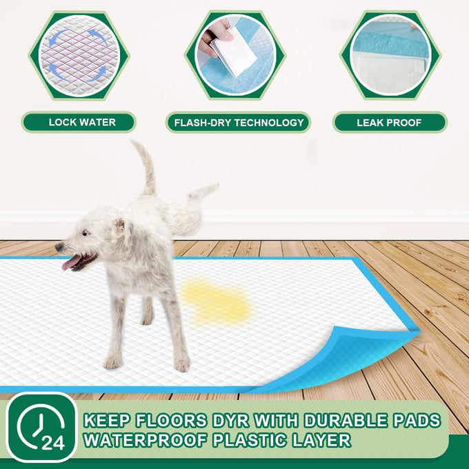 Immcute puppy pads 6-layer leak-proof 100 count 22x23 super absorbent pet training pads