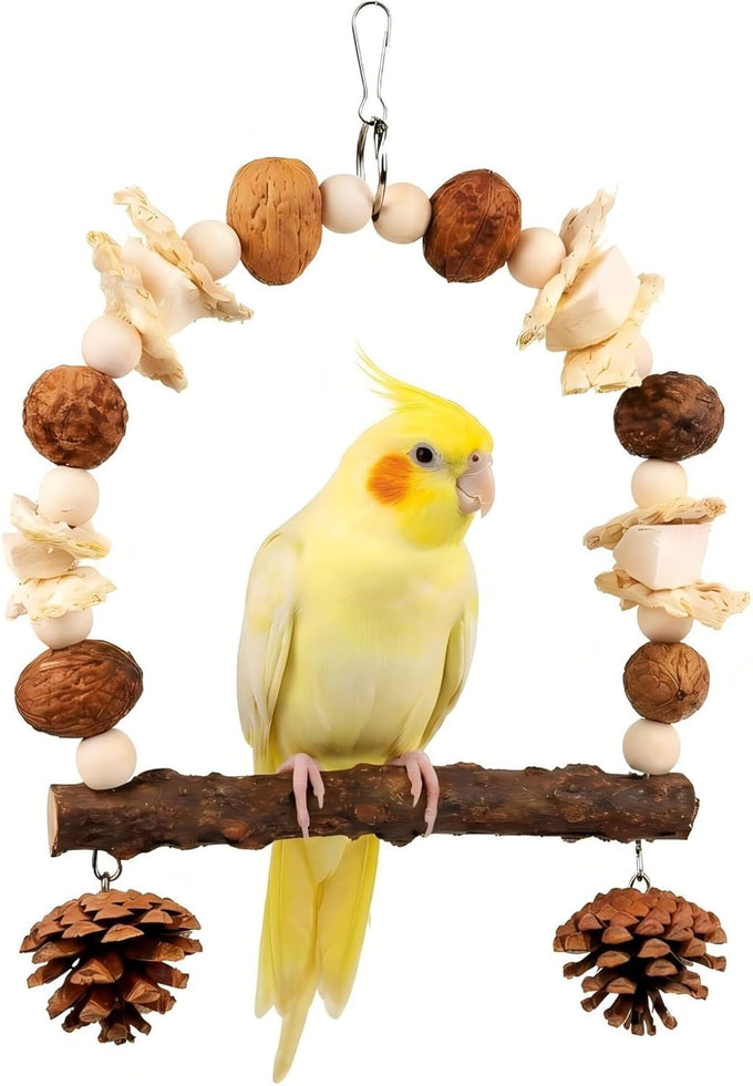 2 Pack Natural Bird Toys Set Arch Wood Swing Sola Ball, Cage Accessories for Cockatiel Conure Parakeets