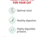 Royal Canin Feline Care Nutrition Digestive Care Adult Dry Cat Food, 3 lb Bag
