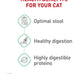 Royal Canin Feline Care Nutrition Digestive Care Adult Dry Cat Food, 6 lb Bag